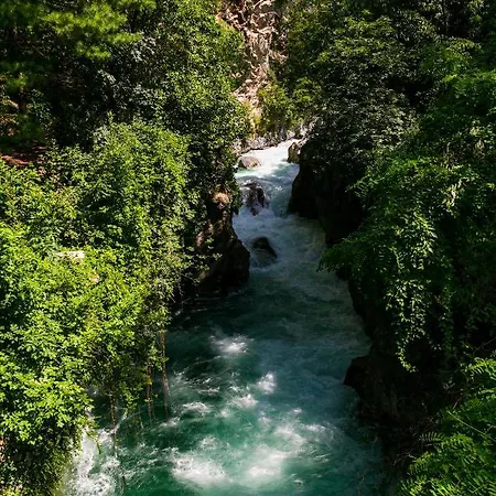 Laubenapartment Appartamento