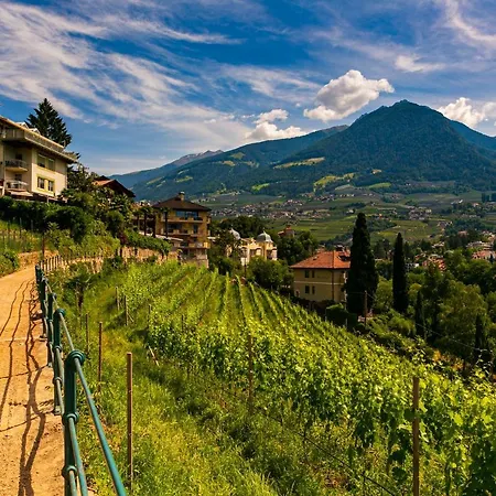 Laubenapartment Apartment