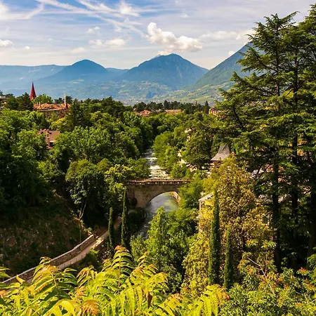 Laubenapartment Appartement