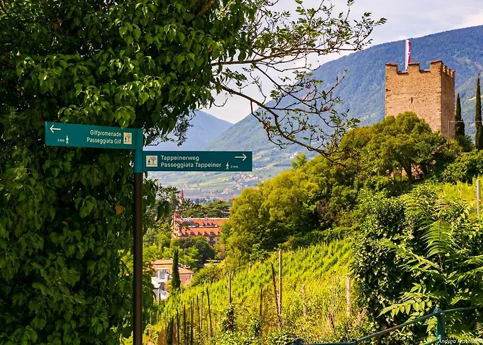 Apartment Laubenapartment Merano