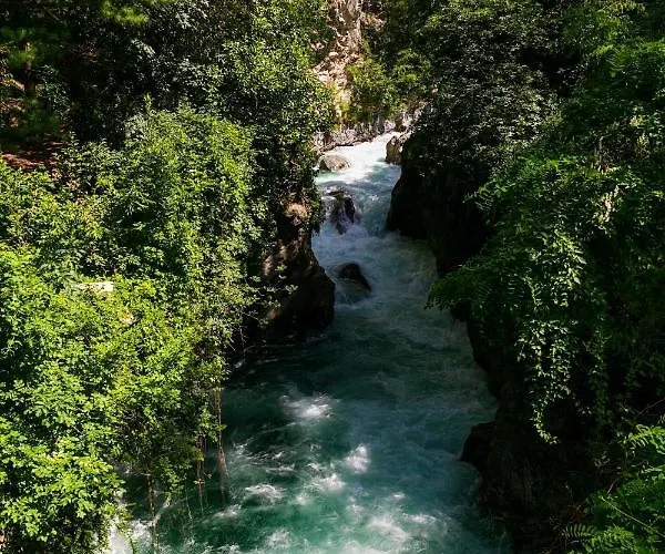 Laubenapartment 公寓